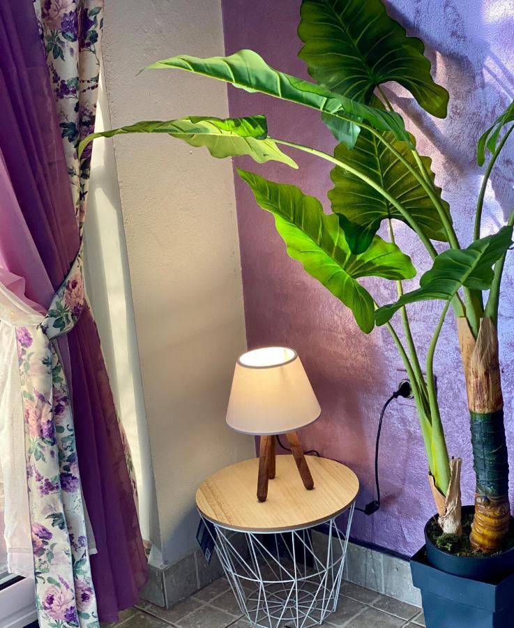 Apartmani Maxim 科托尔 外观 照片